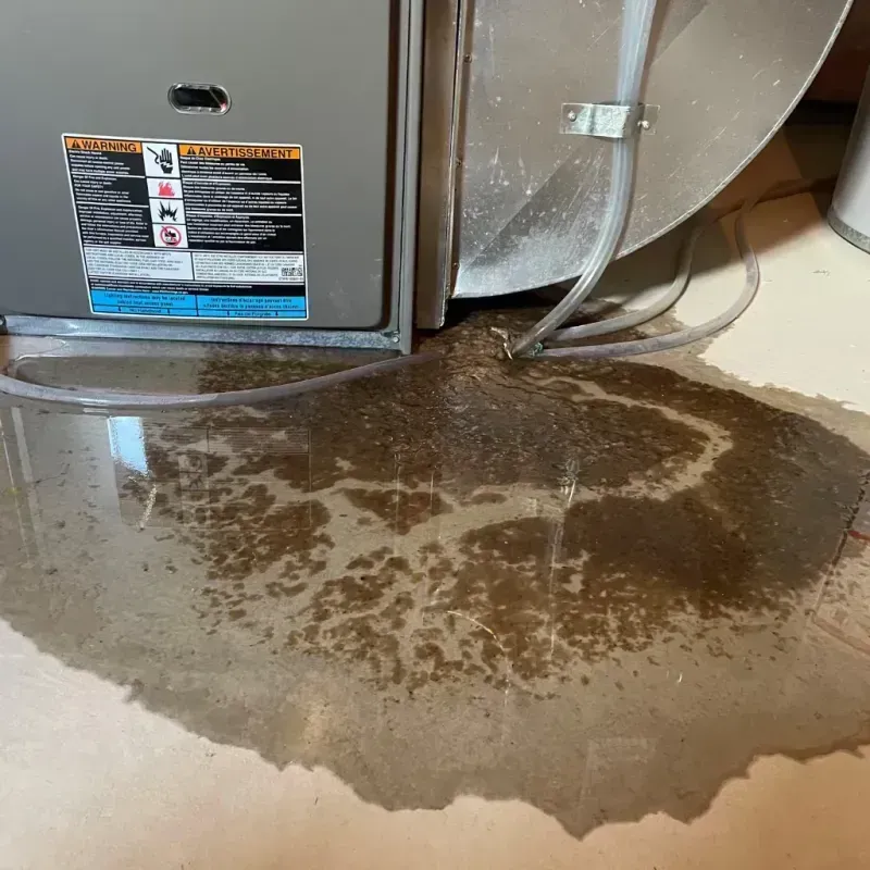 Appliance Leak Cleanup in Truman, MN